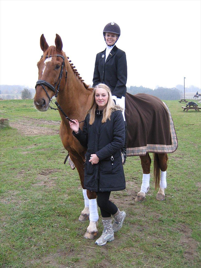 Dansk Varmblod Activ - Søde Ida og søde Activ - Årh :-) billede 8