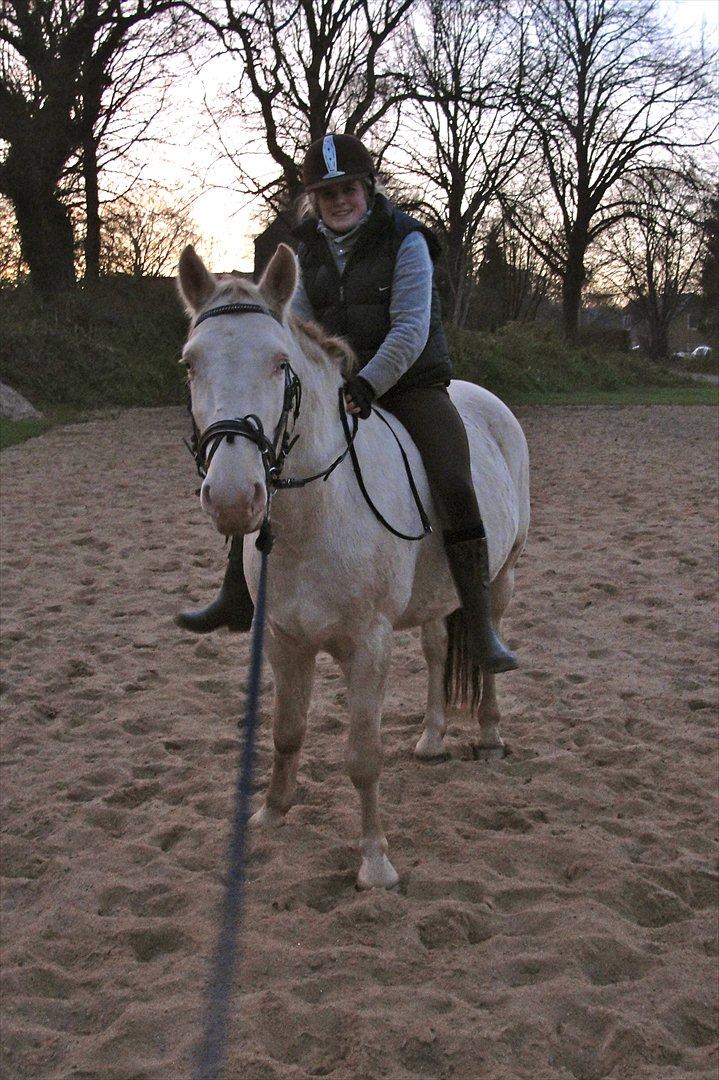 Anden særlig race Studsdals Alkymist - AL - Første gang vi rider rigtigt. November 2011. billede 8