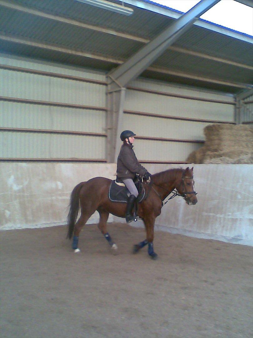 DSP Zoé Bredager - Zoé og jeg. :) billede 8