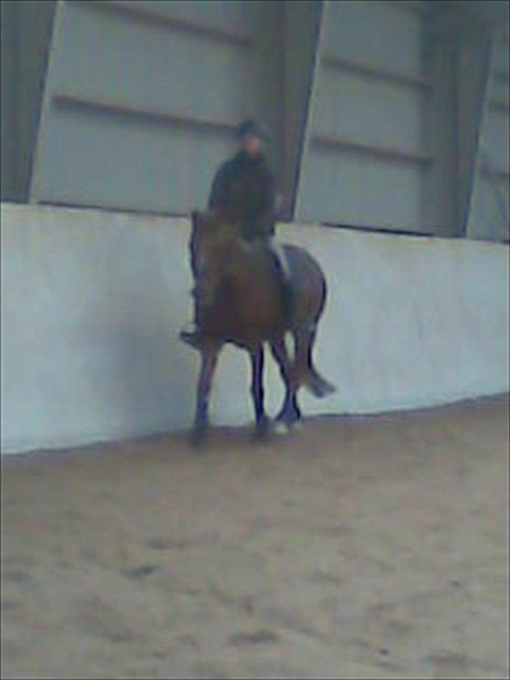 DSP Zoé Bredager - Zoé og jeg. :) billede 9