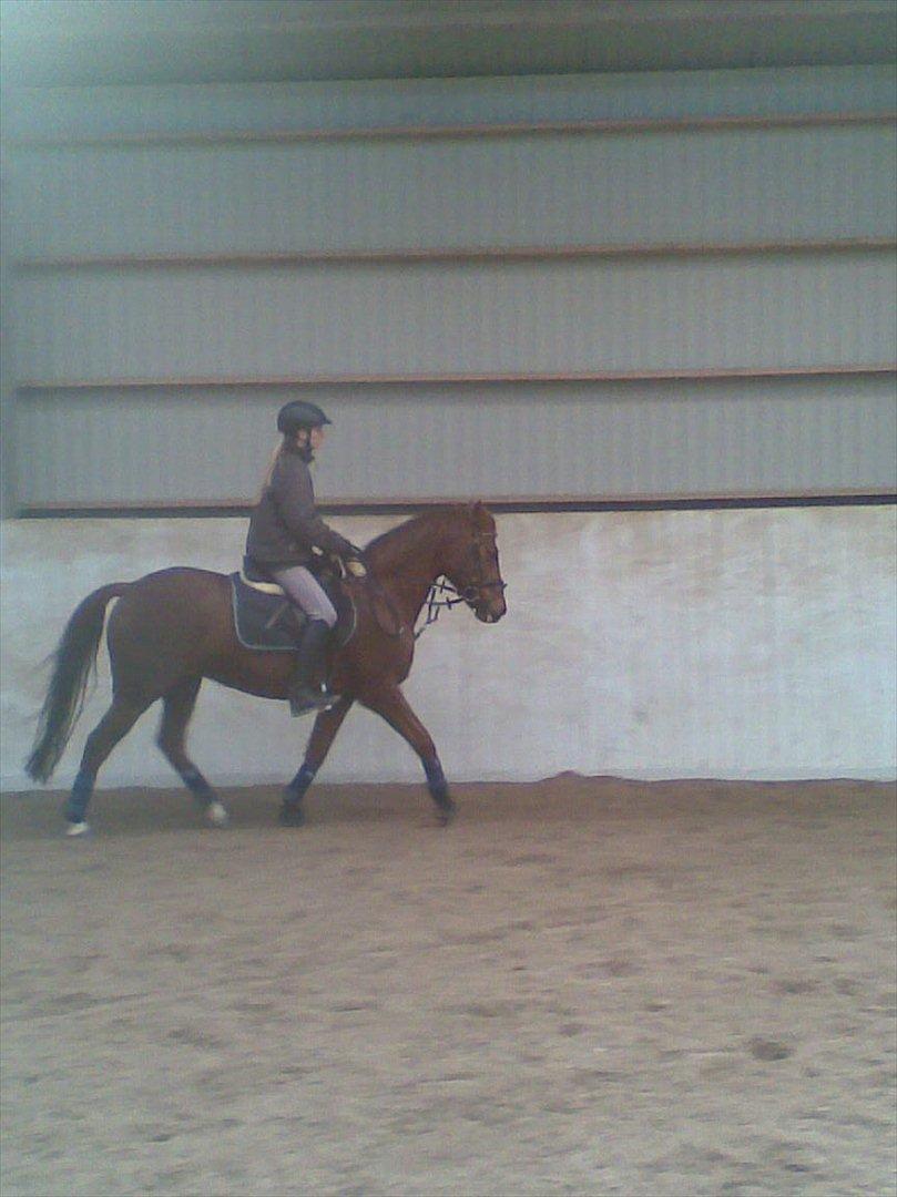 DSP Zoé Bredager - Zoé og jeg. :) billede 10