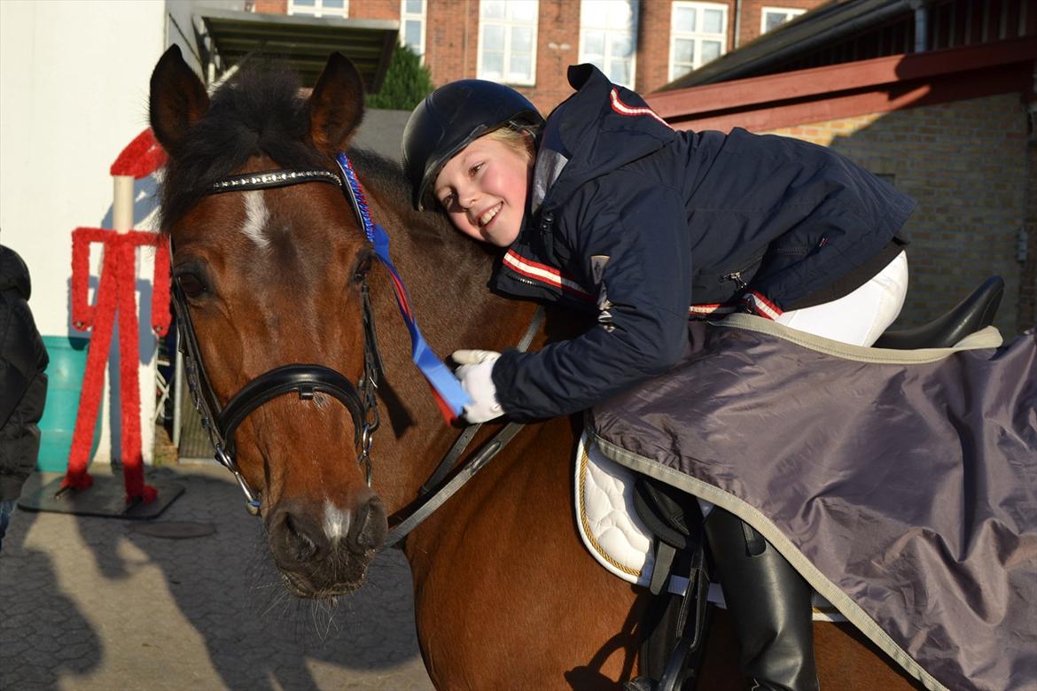 DSP MIRA-BELL VENTURE  - En god og fejlfri runde til mig og Bel.
På mattssons nov. 2011 billede 11