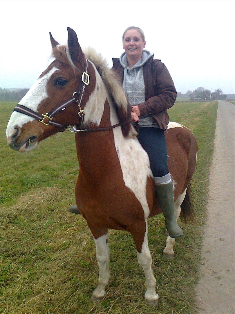 Anden særlig race Wotan - Til hverdag rider jeg ikke uden ridehjelm, men kunne ikke dy mig for at hoppe op, da vi trak en tur. billede 18