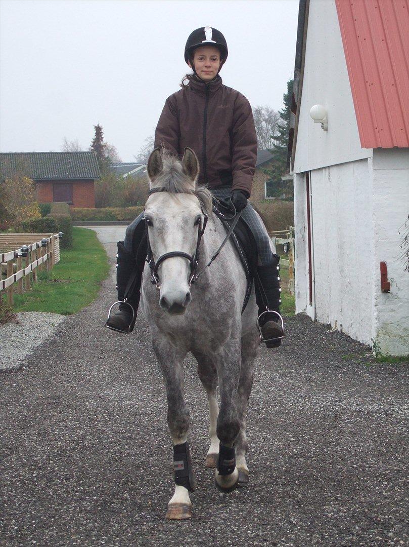 Anden særlig race El. Diego *R.I.P<3 †* - *18- Vores første tur<3 billede 18