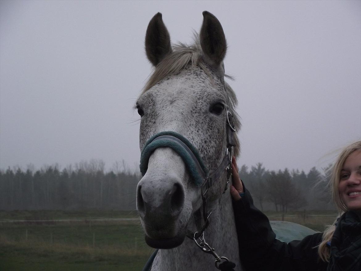 Anden særlig race Højgårdens Tess<3 Lille grå:) - Because you allways make me smile<3... billede 7