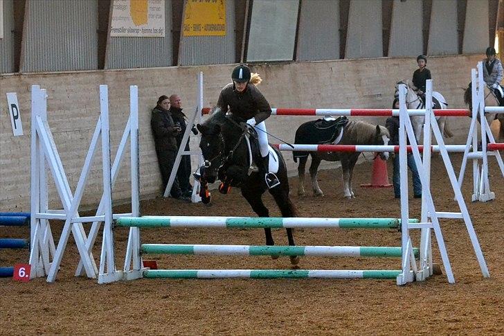 New Forest Banda - LC i OHR November 2011 billede 18