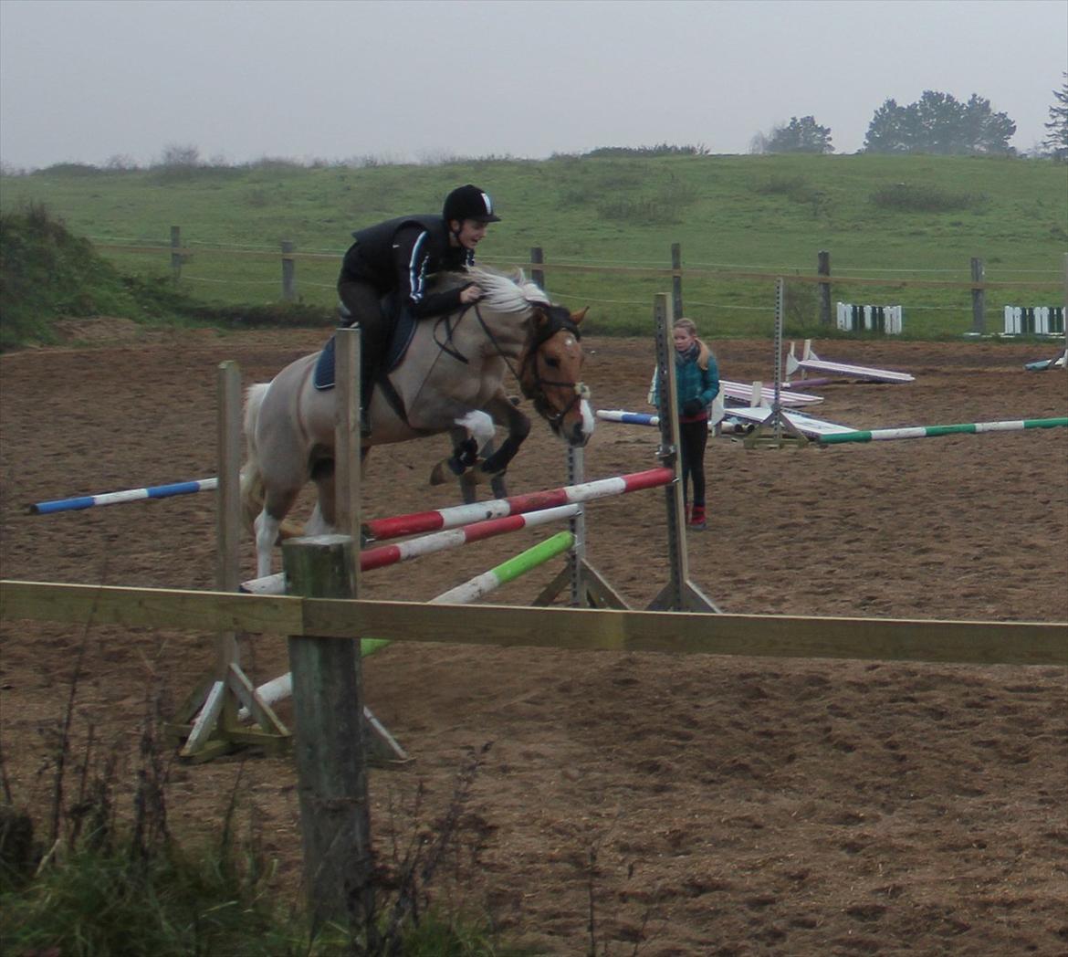 Anden særlig race Charming - "Horses lend us the wings we lack" :) 
D. 20-11-11 :)  billede 18