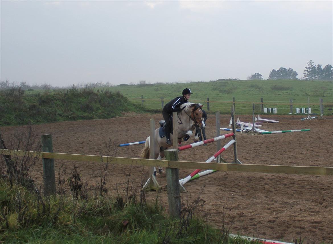 Anden særlig race Charming - D. 20-11-11 :)
110 cm. :D<3 billede 5