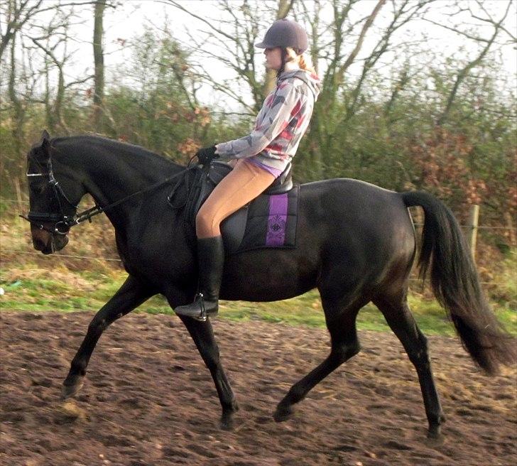 Traver Exposito Attack billede 11