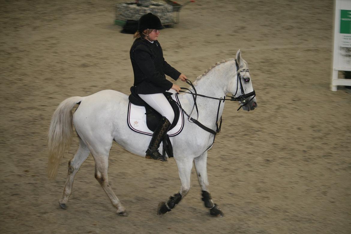 Anden særlig race Star B-PONY! - STAR!<3 billede 7