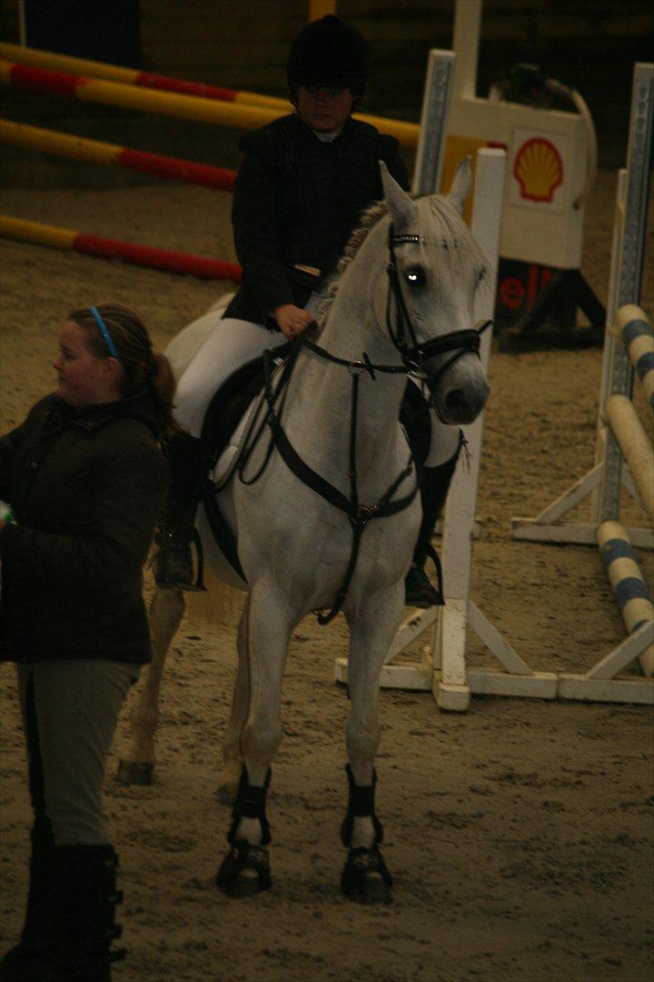 Anden særlig race Star B-PONY! - PRÆMIEOVERRAKELSE!<3 billede 8