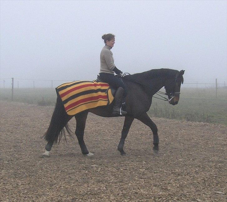 Oldenborg Højager Tobias - 20.11.2011. Første dag på kandar :-) billede 13