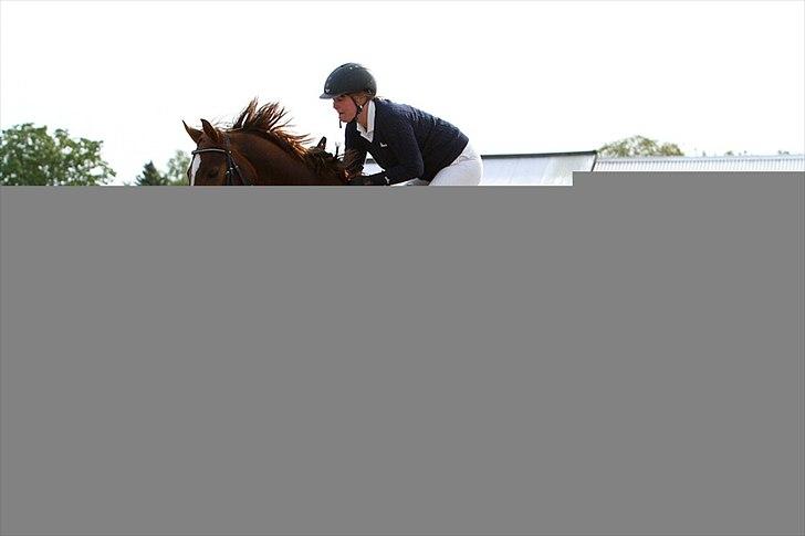 Anden særlig race Chianti Zamangah billede 17