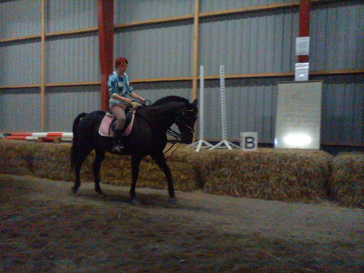 Traver Missey <3 billede 1