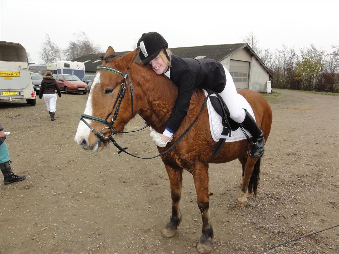 Anden særlig race Amigo(Møffe) - Velkommen til Møffes profil.
Jeg elsker den pony! <3 billede 3