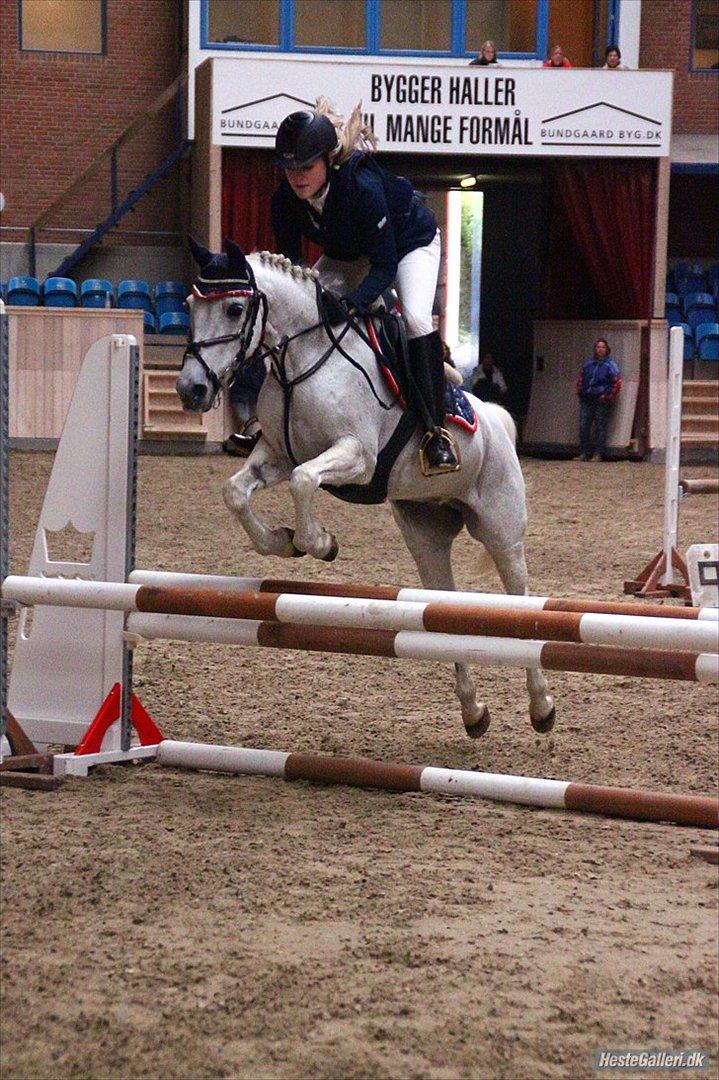 Anden særlig race Bianca. - Camilla og musse på vilhelmsborg!:D billede 9