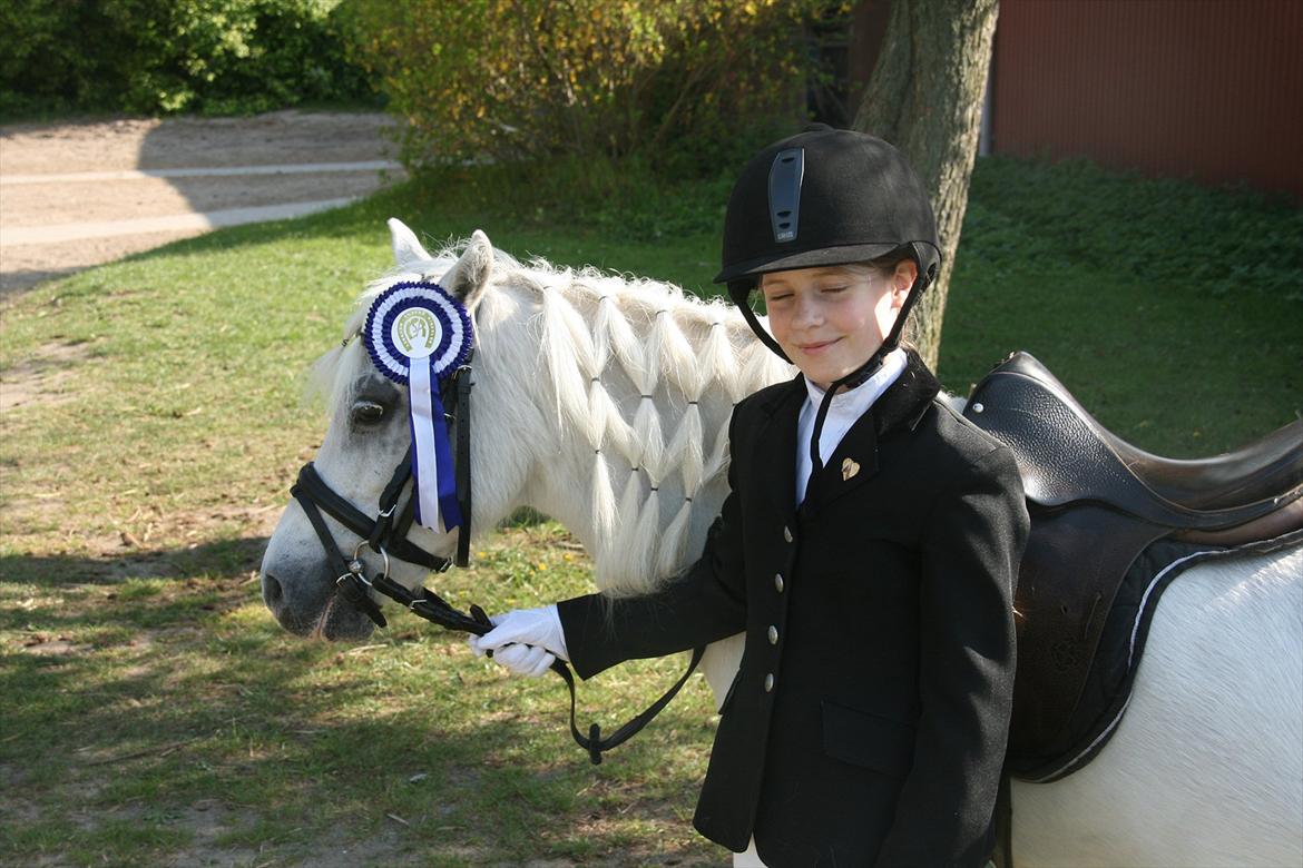 Anden særlig race Coco billede 11