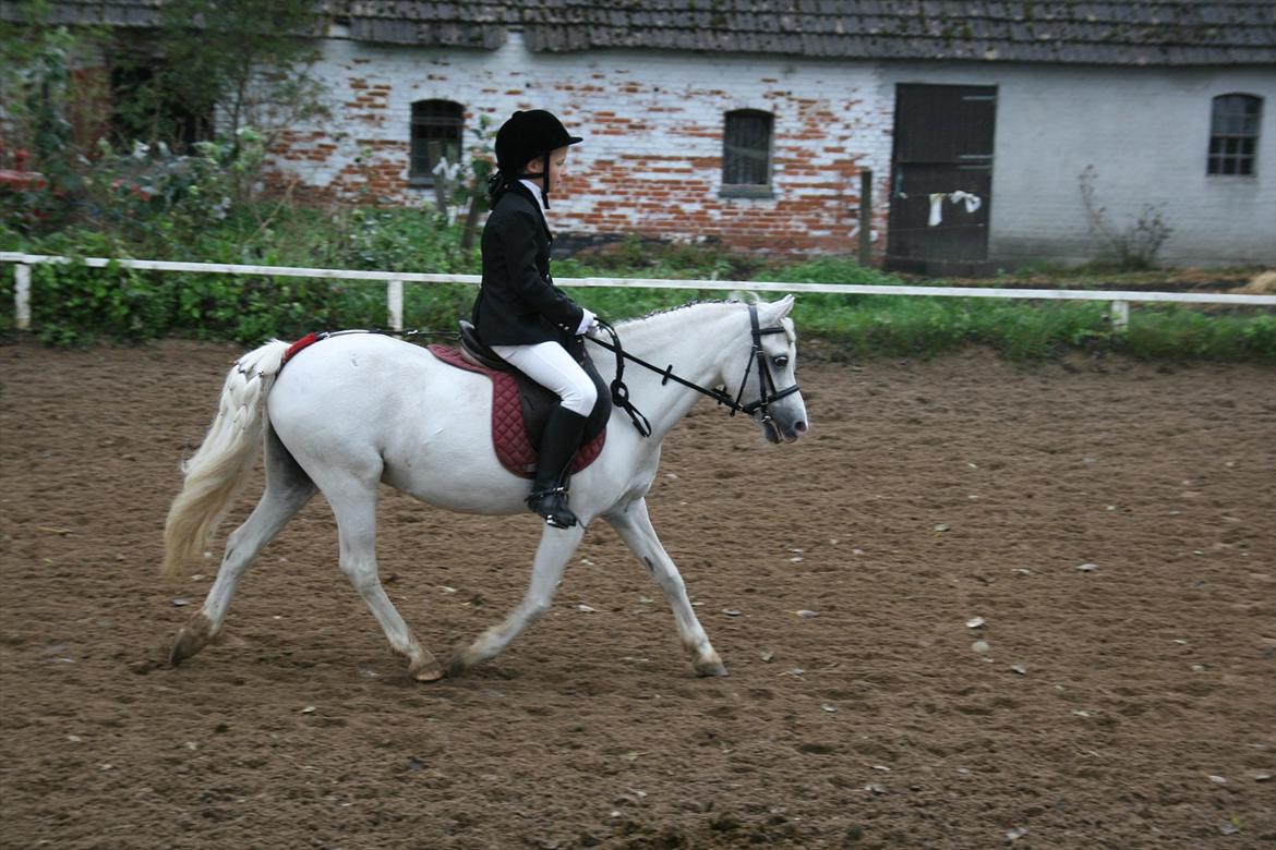 Anden særlig race Coco - mig og Coco til vores første stævne :D

Fotograf : Mor billede 1
