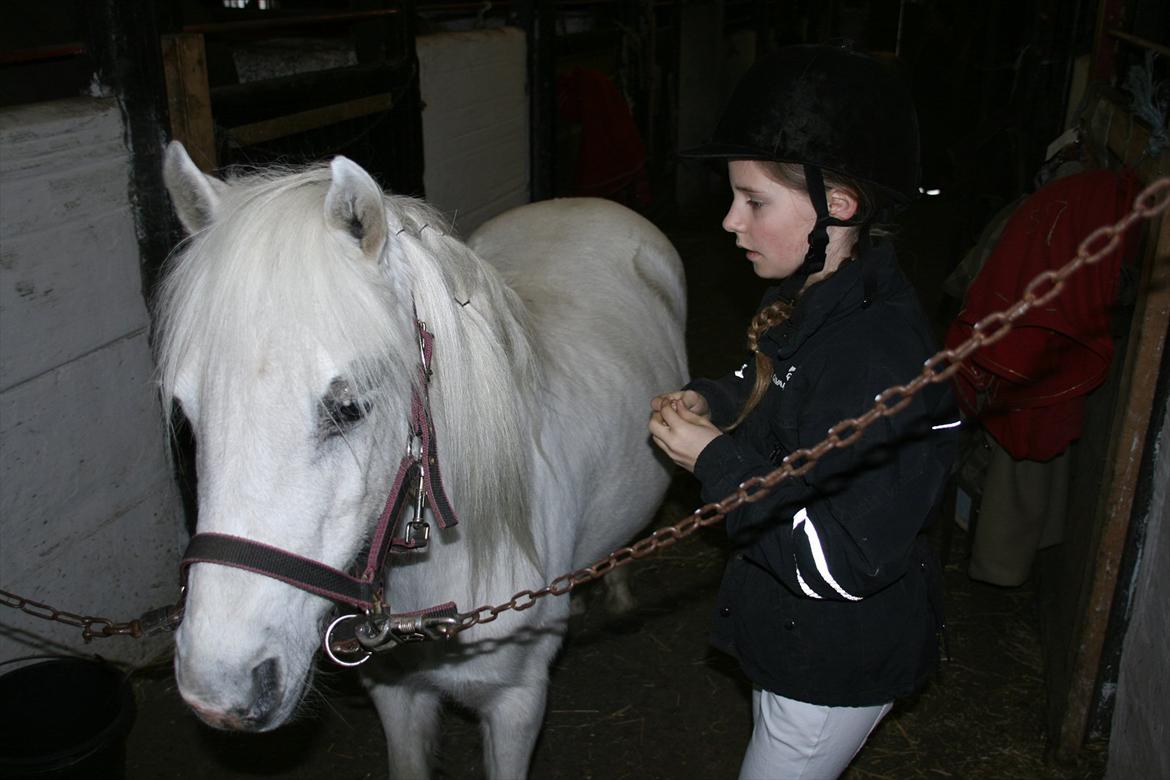 Anden særlig race Coco billede 5