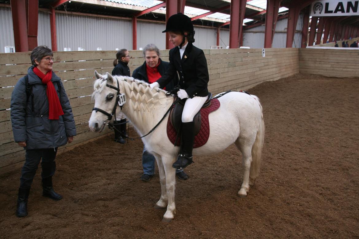 Anden særlig race Coco billede 7