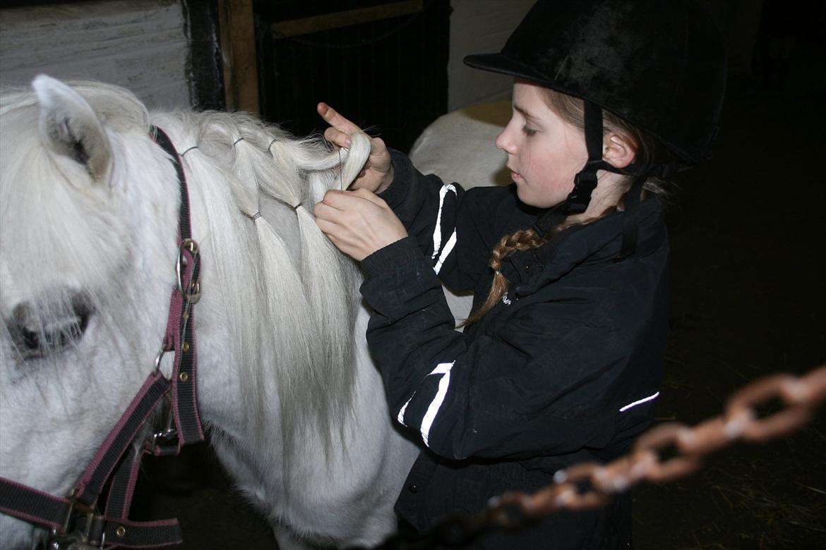 Anden særlig race Coco billede 8