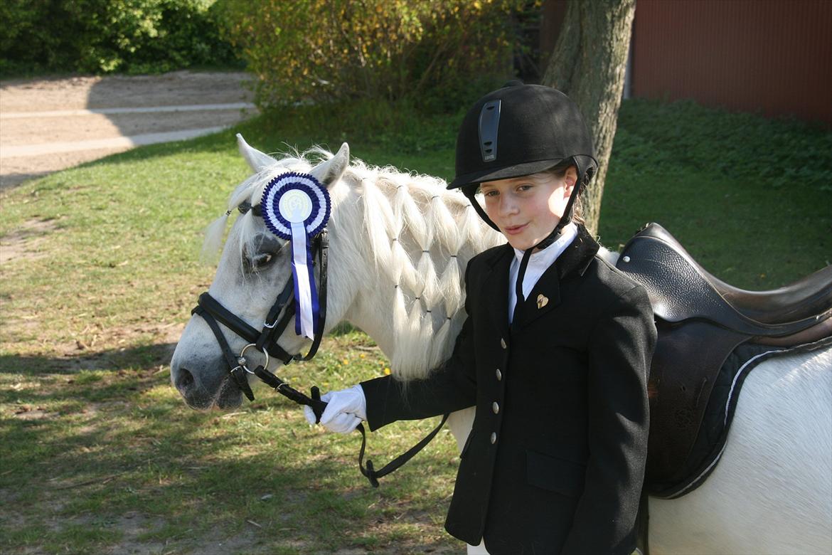 Anden særlig race Coco billede 9