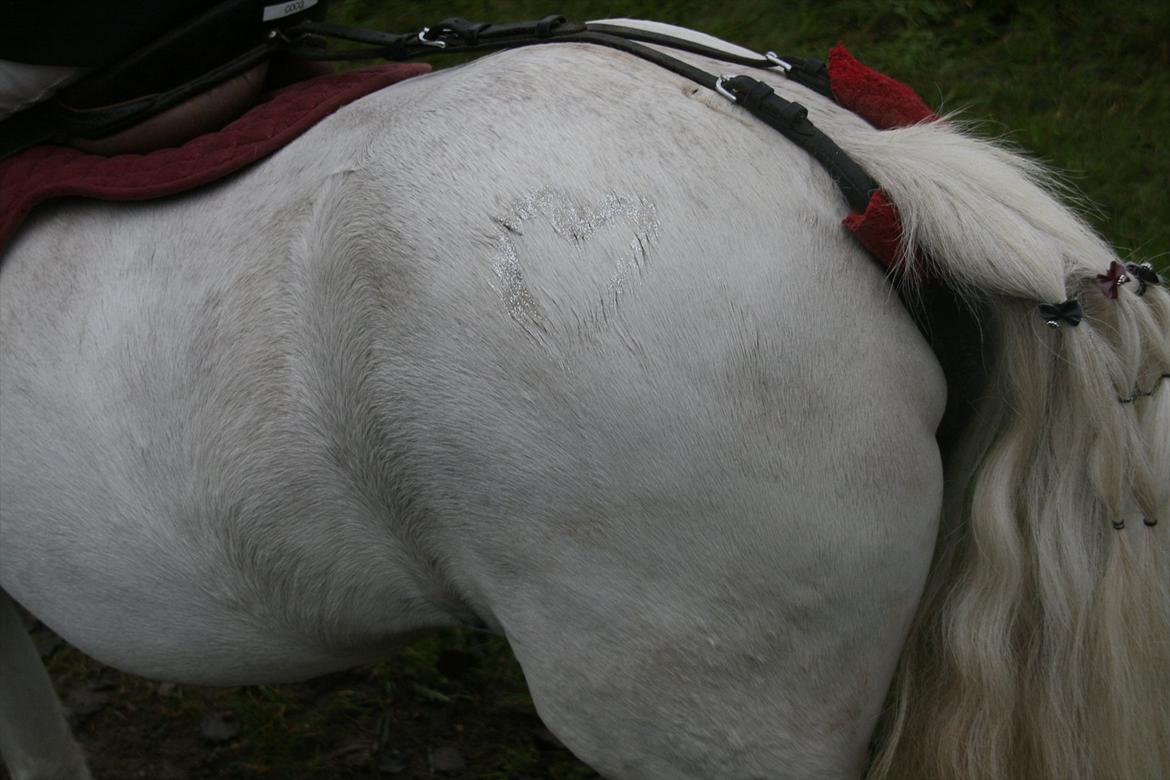 Anden særlig race Coco billede 10