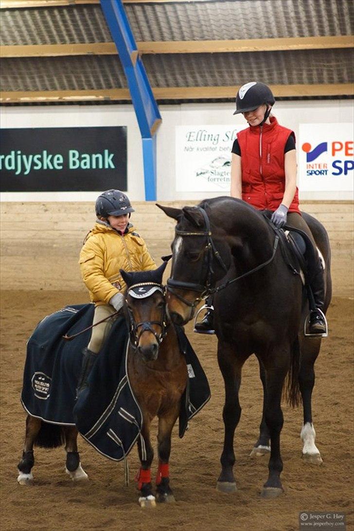 Dansk Varmblod Camille<3 - Tøsen og Camille<3 billede 8