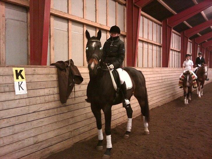Dansk Varmblod Camille<3 - 3 plads til vores første dressur stævne<3 billede 10