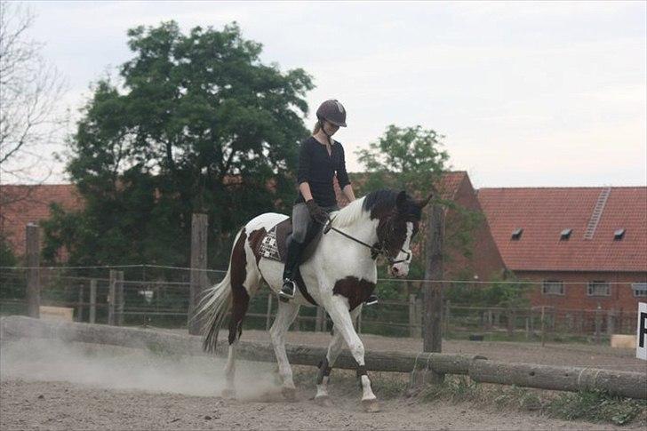 Anden særlig race Liverpool billede 4