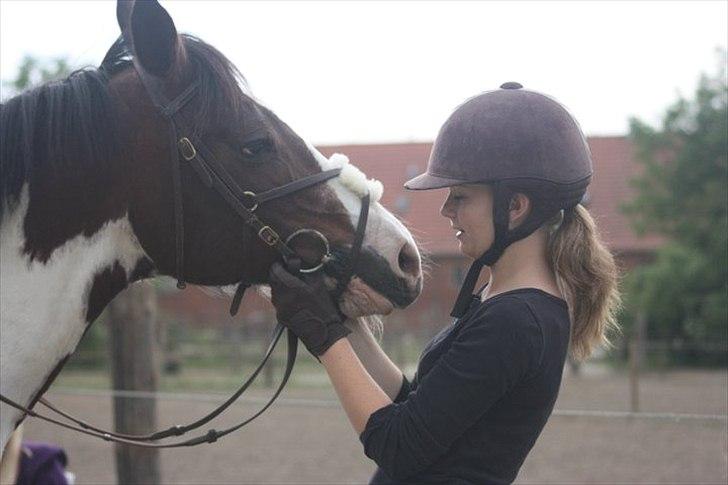 Anden særlig race Liverpool billede 6