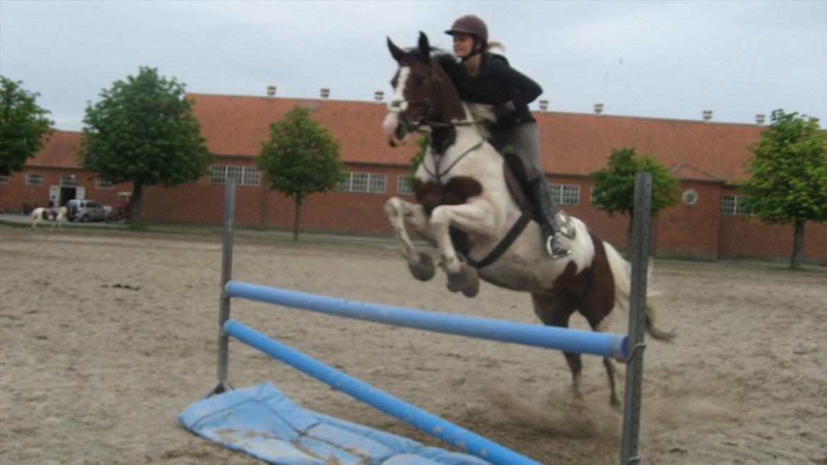 Anden særlig race Liverpool billede 8