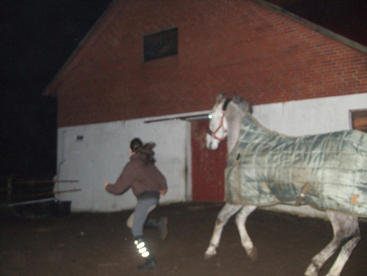 Anden særlig race El. Diego *R.I.P<3 †* - Mig og Diego i fuld galop<3 (han følger efter mig:D<3) Elsker dig dreng<3 billede 20