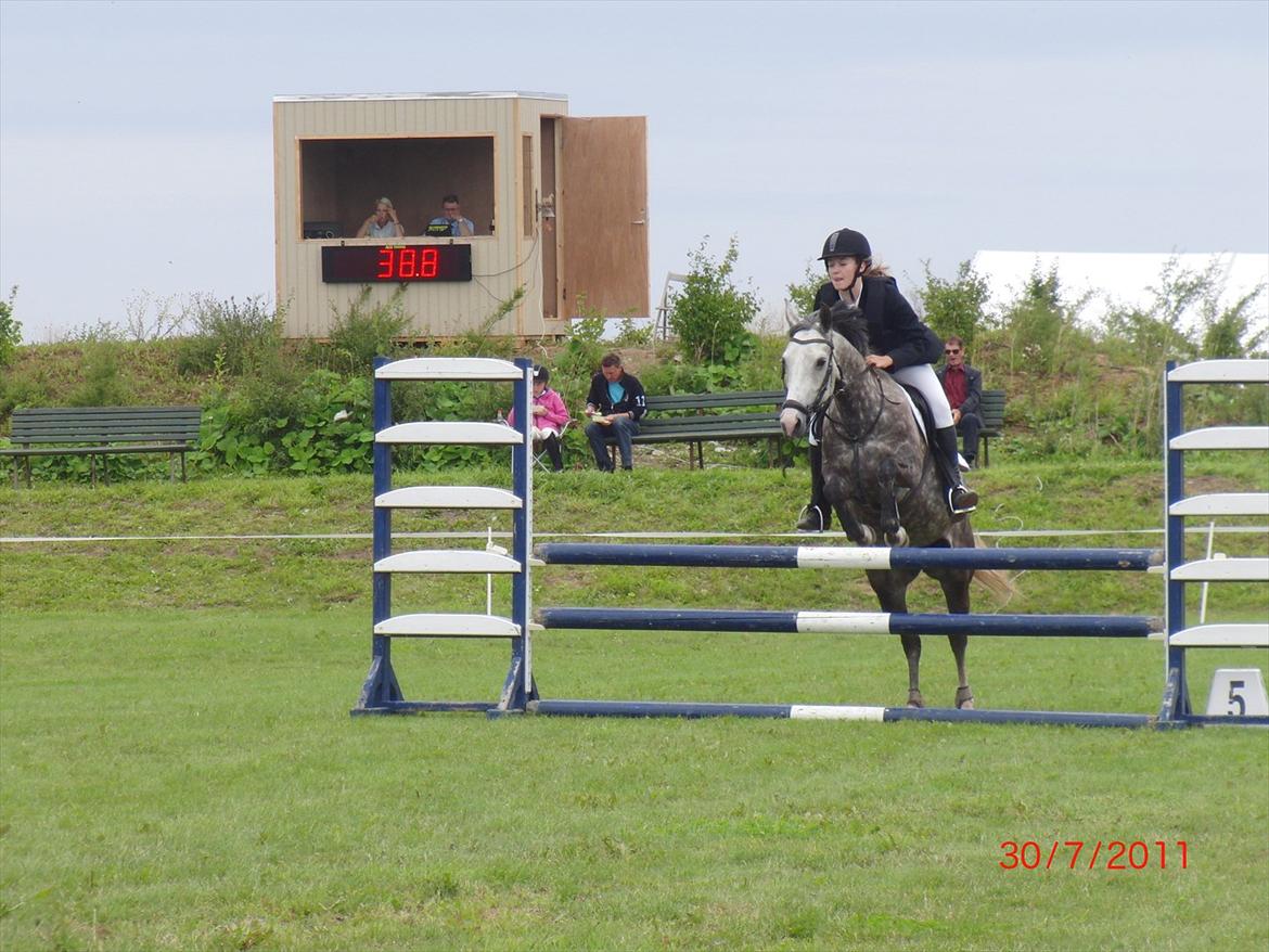 Anden særlig race Olympia <33 *Solgt* billede 10