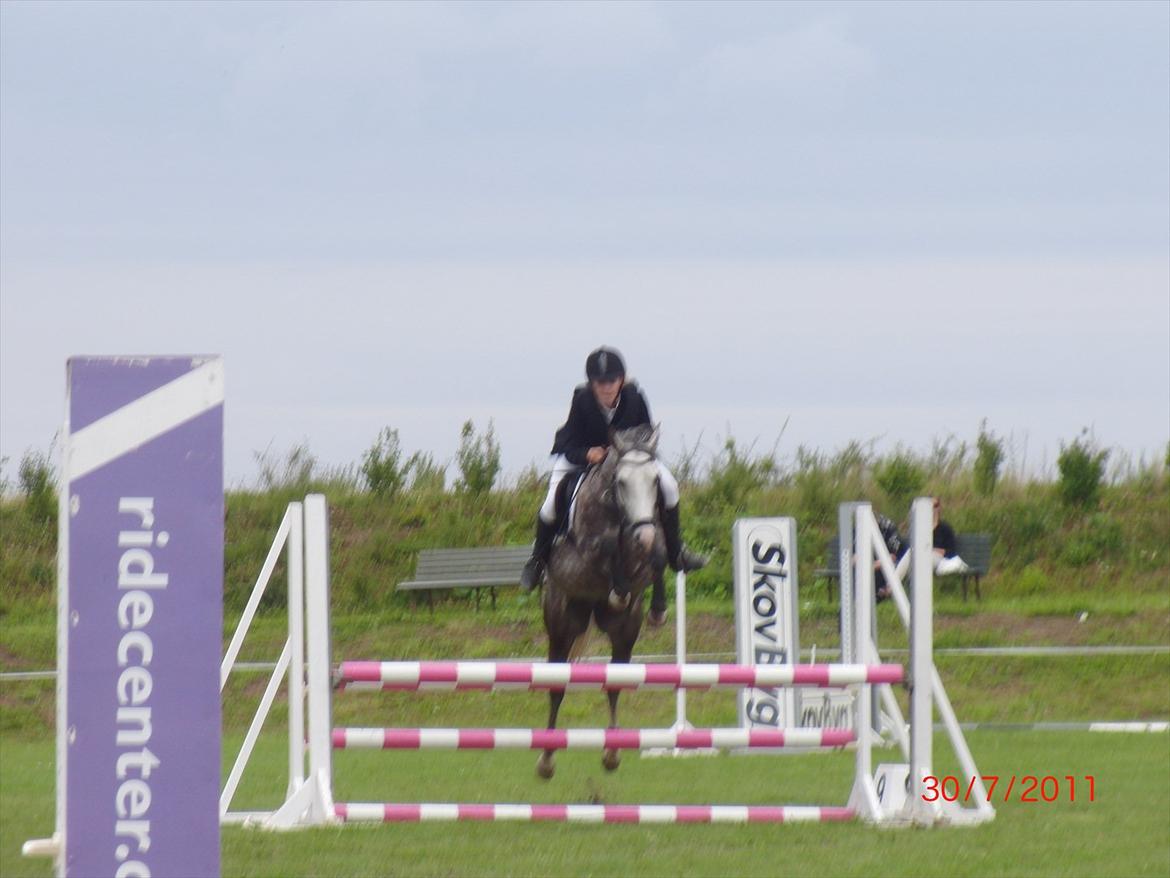 Anden særlig race Olympia <33 *Solgt* billede 11