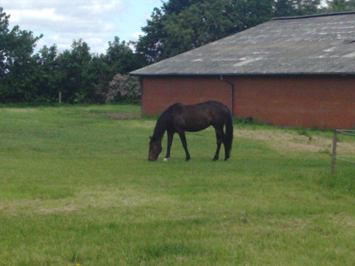 Traver Hurtis billede 1