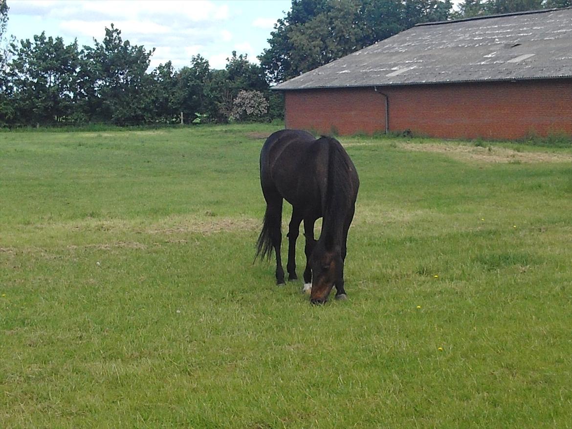 Traver Hurtis billede 4