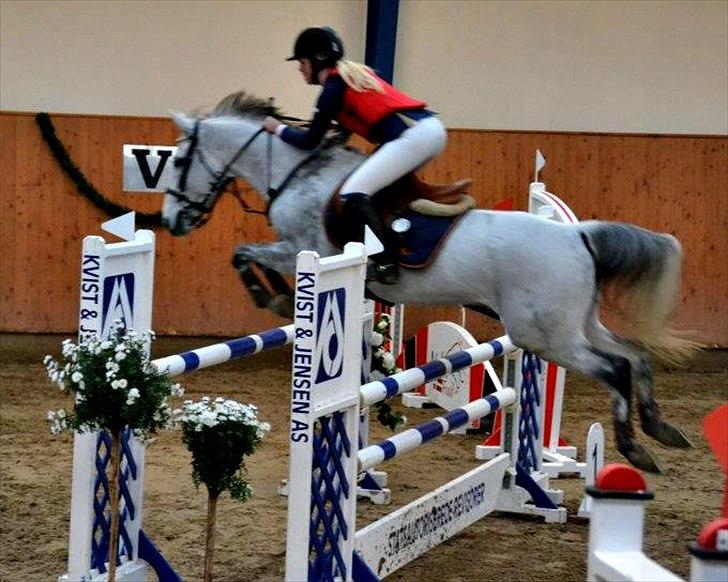 Tysk Sportspony AMERICAN JACKPOT (AMIGO) - Jackpot & Mig, i Middelfart til Landsstævne. November 2011. 
første MA!
Foto: Stina Carlsen, tak (-: billede 12