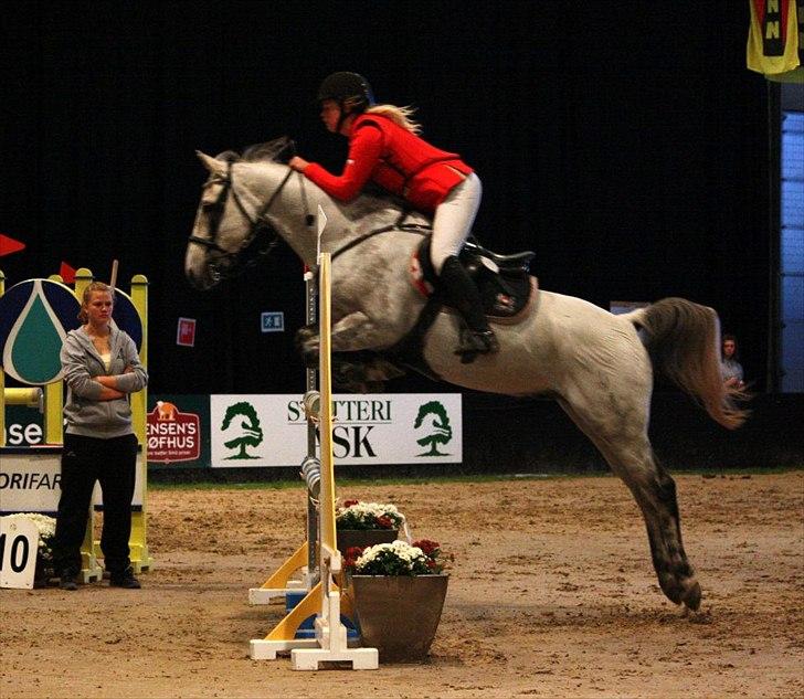 Tysk Sportspony AMERICAN JACKPOT (AMIGO) - Jackpot & Mig, i Odense Congress Center. Til JBK 2011.
Her i en LA eller MB<3.
Foto: Sofie Østergaard. billede 13