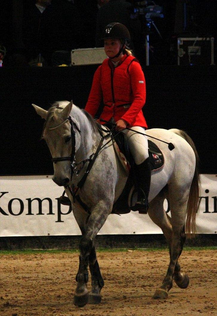 Tysk Sportspony AMERICAN JACKPOT (AMIGO) - Jackpot & Jeg, i Odense Congress Center. Til JBK 2011.
Her rider jeg rundt på banen og venter til det bliver min tur :-D.
Foto: Sofie Østergaard. billede 14