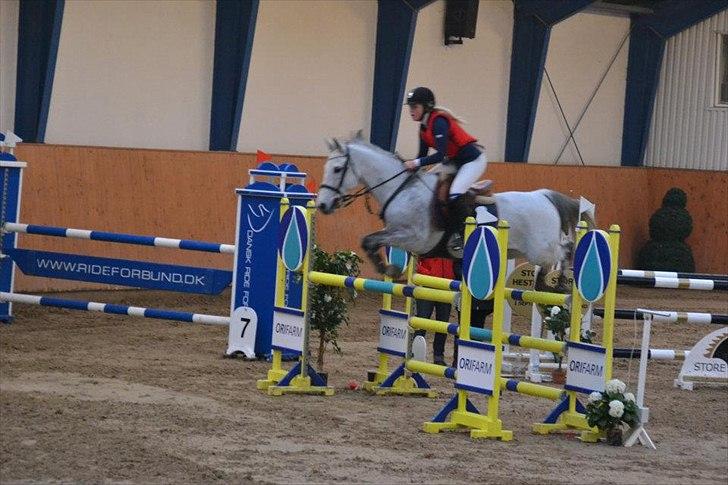 Tysk Sportspony AMERICAN JACKPOT (AMIGO) - Jackpot & Mig, i Middelfart til landsstævne, November 2011.
Første MA!
Foto: Stina Carolsen, tak (-: billede 15