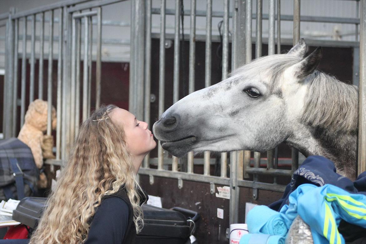 Anden særlig race Pegasus (SOLGT) - Min bedste ven <3 billede 13