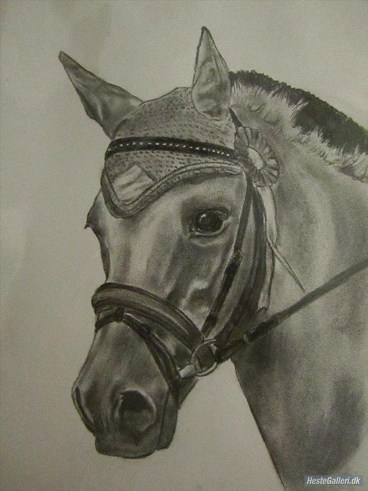 Anden særlig race HURs NOLLE | R.I.P. /':  - 6) The only reason I live is to love you. <3
Tak til Elise for den smukke tegning! billede 6