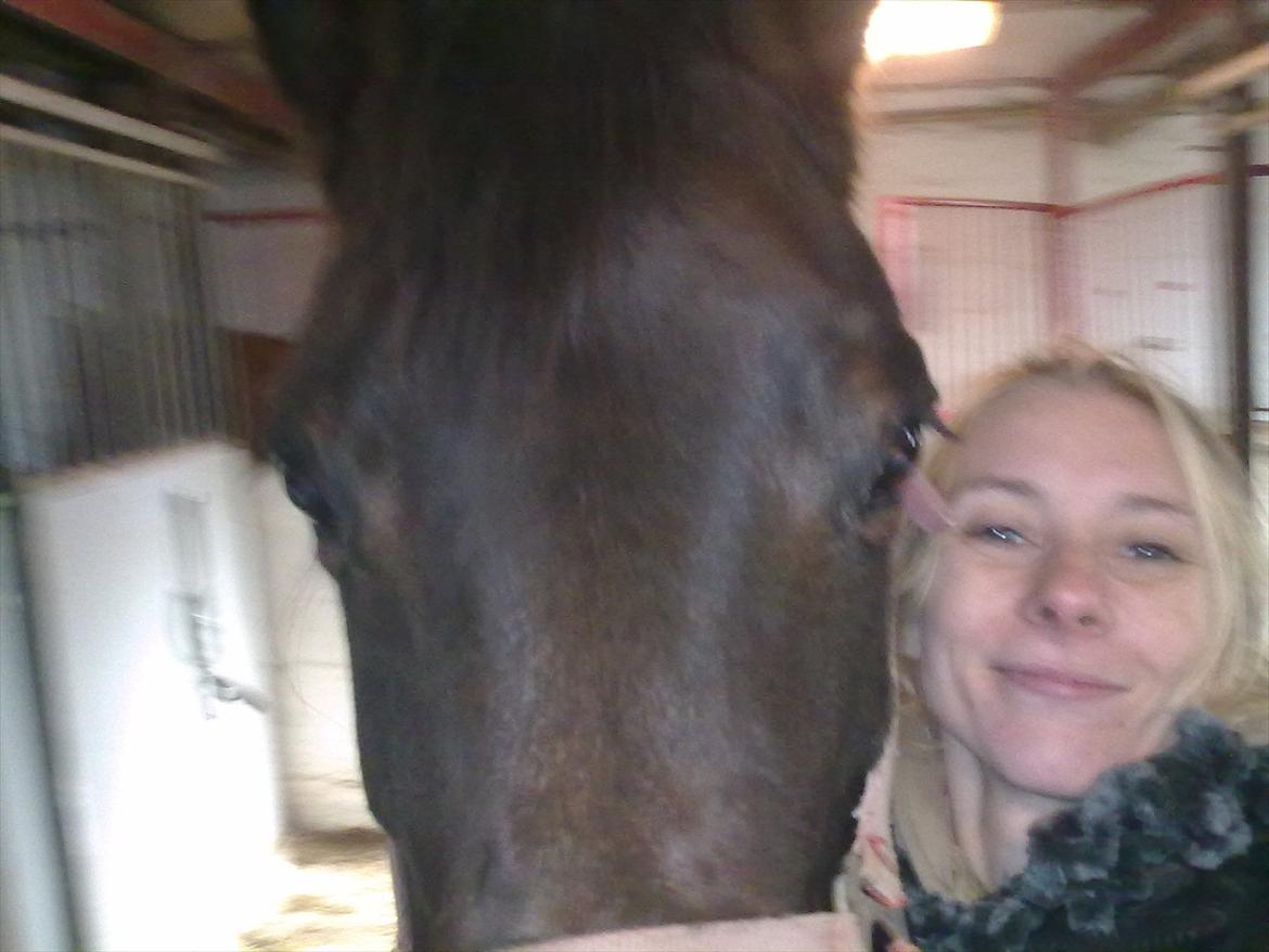 Anden særlig race Allie - hun er en meget nys hest og vil være med til alt hvis hun kan komme til det hehe billeder ja dem har hun ingen problemer med at få taget hihi. billede 6