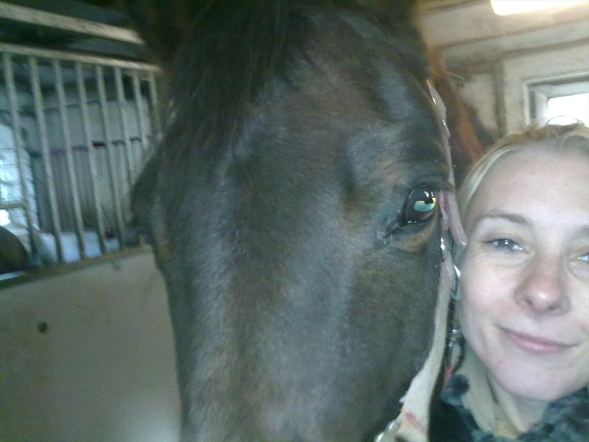 Anden særlig race Allie - her har hun været på fold så vi er godt træt hehe det er dejligt at se at hun trives :-) billede 9