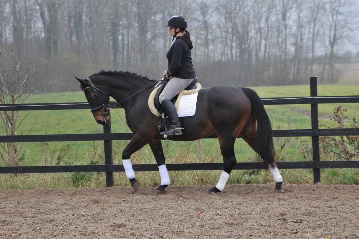 Oldenborg søstedgård's honey billede 2