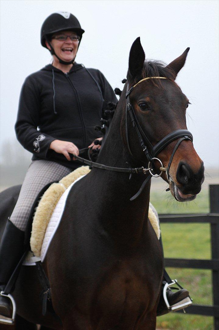 Oldenborg søstedgård's honey billede 4