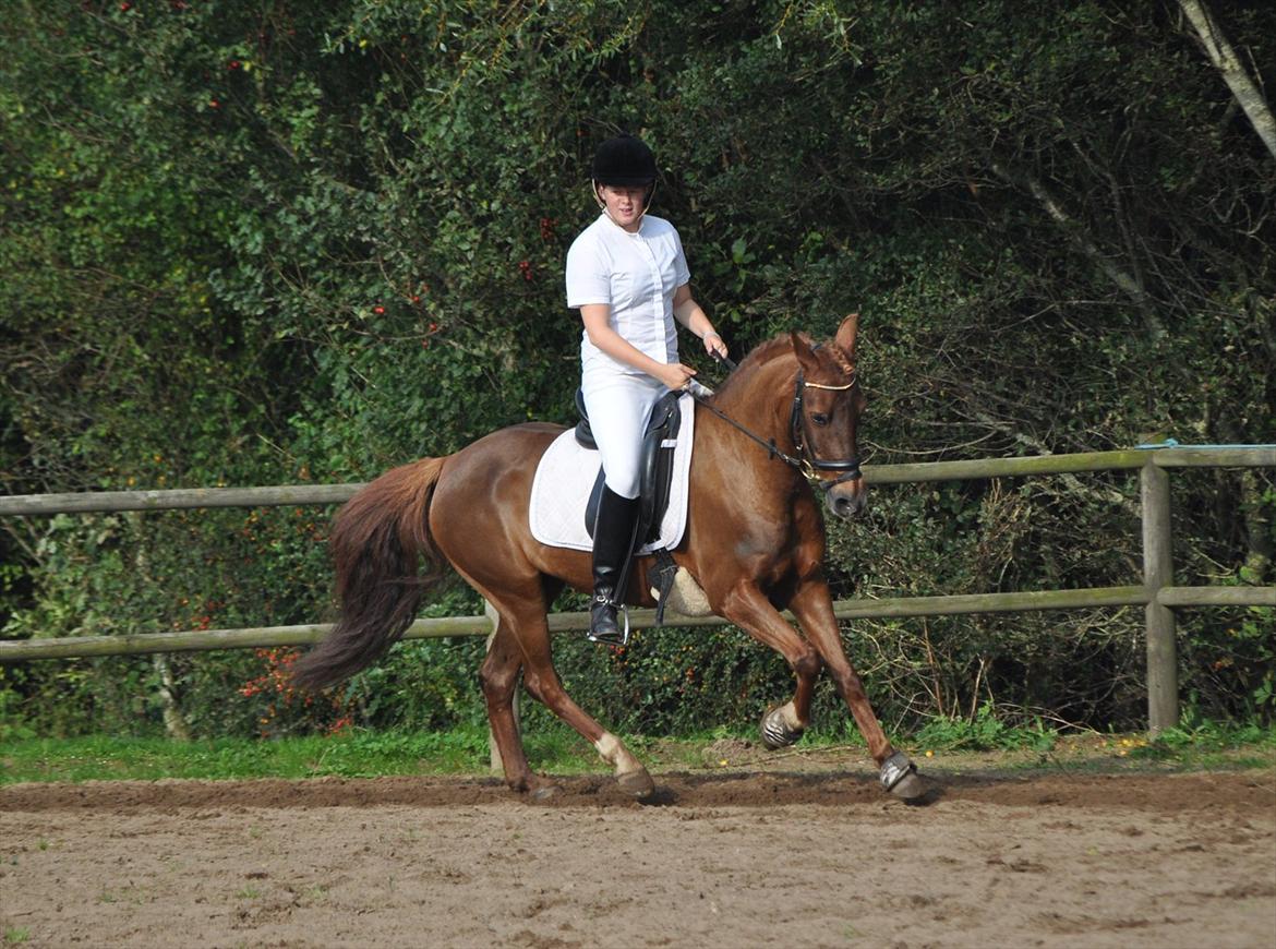 DSP Chanell billede 18