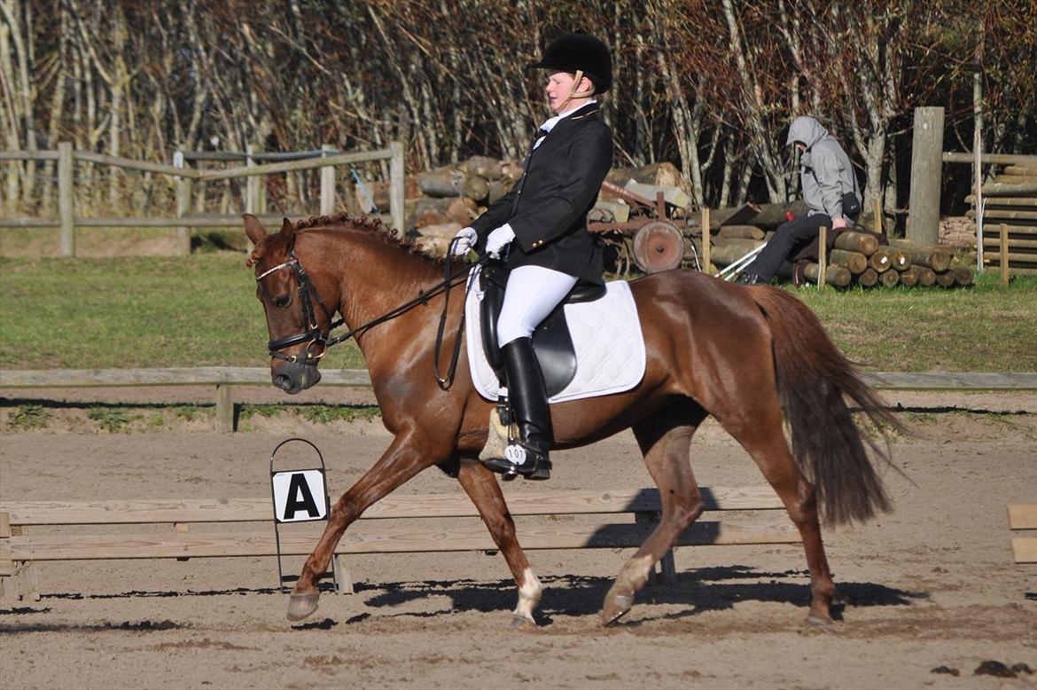 DSP Chanell billede 1