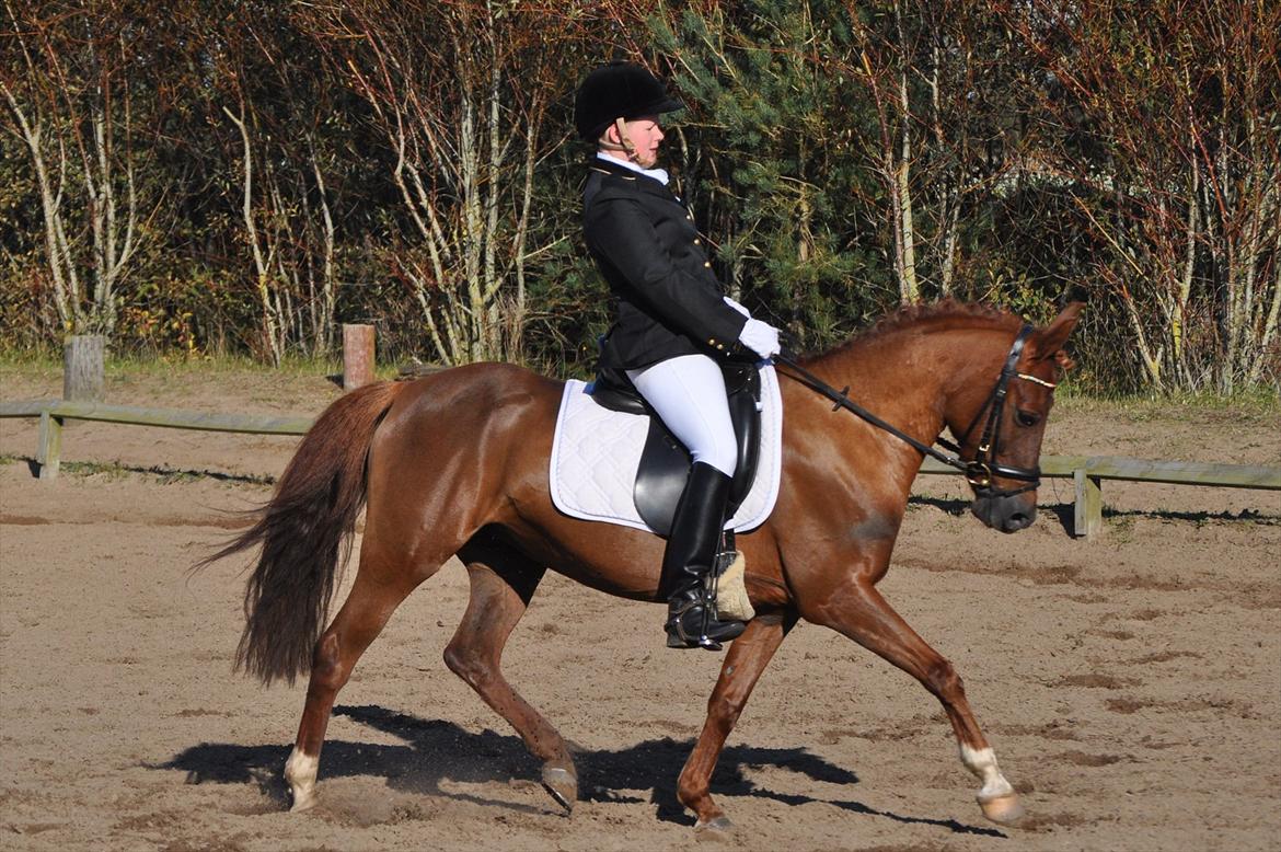 DSP Chanell billede 19